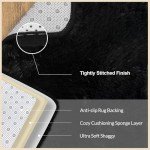 Large Fluffy Black Area Rug for Home