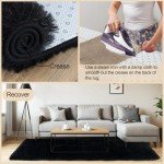 Large Fluffy Black Area Rug for Home