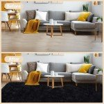 Large Fluffy Black Area Rug for Home