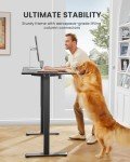ErGear Black Height Adjustable Electric Standing Desk