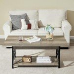 Modern 2-Tier Grey Wash Coffee Table with Storage