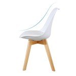 GOTMINSI Set of 2 Modern Dining Shell Chairs