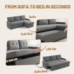 L Shaped Sleeper Sofa with Storage Chaise