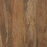 Sauder Cannery Bridge Night Stand in Sindoori Mango