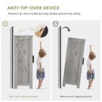 Iwell Grey Storage Cabinet with Adjustable Shelves