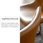 Set of 2 Urban Industrial Armless Dining Chairs