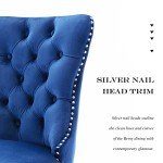 Blue Velvet Dining Chairs Set of 2