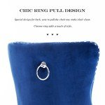 Blue Velvet Dining Chairs Set of 2