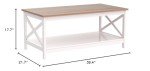 Modern Farmhouse Coffee Table with Storage - 2 Tiers