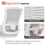 High Back Mesh Ergonomic Office Chair (Beige)