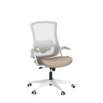 High Back Mesh Ergonomic Office Chair (Beige)