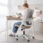 High Back Mesh Ergonomic Office Chair (Beige)