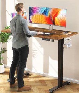 Veken 48 Inch Adjustable Electric Standing Desk