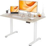 Adjustable Electric Standing Desk with Natural Top