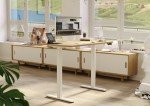Adjustable Electric Standing Desk with Natural Top