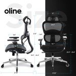 Oline ErgoPro Adjustable Ergonomic Office Chair
