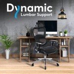 Oline ErgoPro Adjustable Ergonomic Office Chair