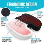 Memory Foam Office Chair Cushion and Lumbar Support