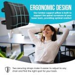 Memory Foam Office Chair Cushion and Lumbar Support