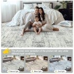 8x10 Area Rugs for Living Room - Washable Rug Modern Abstract Soft Large Neutral Non-Slip Carpet Indoor Floor Stain Resistant Thin Carpets for Bedroom Dining Room Farmhouse Nursery Home Office Grey