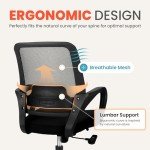 NEO CHAIR Office Ergonomic Executive Computer Desk Chair, Mesh Lumbar Support Adjustable Height Rolling Wheels Swivel Comfortable Modern Mid Back for Home Task Vanity Bedroom Study (Black)
