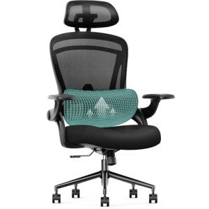 Sweetcrispy Ergonomic Mesh Office Chair, High Back with 2D Headrest, Up&Down Lumbar Support, Swivel Computer Task Desk Chairs with Adjustable Flip-up Armrests, Black