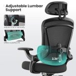 Sweetcrispy Ergonomic Mesh Office Chair, High Back with 2D Headrest, Up&Down Lumbar Support, Swivel Computer Task Desk Chairs with Adjustable Flip-up Armrests, Black