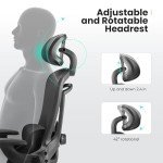 Sweetcrispy Ergonomic Mesh Office Chair, High Back with 2D Headrest, Up&Down Lumbar Support, Swivel Computer Task Desk Chairs with Adjustable Flip-up Armrests, Black