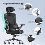 Sweetcrispy Ergonomic Mesh Office Chair, High Back with 2D Headrest, Up&Down Lumbar Support, Swivel Computer Task Desk Chairs with Adjustable Flip-up Armrests, Black