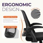 NEO CHAIR Office Desk Computer Gaming Chair with Executive Ergonomic Lumbar Back Support Flip-up Padded Armrest Adjustable Height and Wheels for Home or Office (Black)