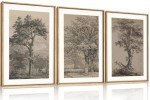 KAIRNE Vintage Tree Sketch Wall Art Set, Antique Tree Drawings Wall Decor, Nature Sketch Wall Painting, Framed Botanical Canvas Art Prints for Living Room, Bedroom, Dinning Room, Farmhouse - 16"x24"x3
