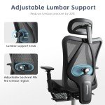 Ergonomic Office Chair, SGS Certified Class 4 Gas Cylinder, 400 LBS Capacity, Retractable Footrest, Adjustable Lumbar Support, Breathable Mesh（Black and Grey）