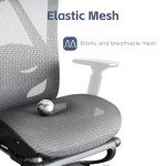 Ergonomic Office Chair, SGS Certified Class 4 Gas Cylinder, 400 LBS Capacity, Retractable Footrest, Adjustable Lumbar Support, Breathable Mesh（Black and Grey）