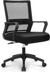 NEO CHAIR Office Chair Gaming Desk Computer Chair Ergonomic Mid Back Mesh Cushion with Wheels Lumbar Support Comfy Swivel Adjustable Rolling Home (Black)