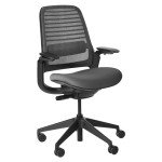 Steelcase Series 1 Office Chair - Ergonomic Work Chair with Wheels for Carpet - Helps Support Productivity - Weight-Activated Controls, Back Supports & Arm Support - Easy Assembly - Graphite