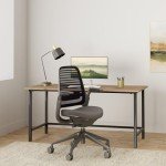 Steelcase Series 1 Office Chair - Ergonomic Work Chair with Wheels for Carpet - Helps Support Productivity - Weight-Activated Controls, Back Supports & Arm Support - Easy Assembly - Graphite