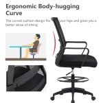Drafting Chair Tall Office Chair Adjustable Swivel Rolling Mesh Height with Lumbar Support Arms Footrest Mid Back for Adults Standing Desk Drafting Stool(Black)