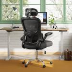 DEVAISE Ergonomic Mesh Desk Chair, Separated-Adjustable Lumbar Support，Large Cushion, Flip-up Armrests, 90-125° Rocking Tilt, for Home Office Computer Gaming, Black