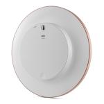 Braun Classic Large Analogue Wall Clock with Silent Sweep Movement, Easy to Read, 30cm Diameter in Rose and White, Model BC17PW.