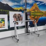 Cmyk Color 3d Vertical Uv Wall Art Printer Printing Machine Automatic Indoor Outdoor AI 4K Wall Floor Printing Machine