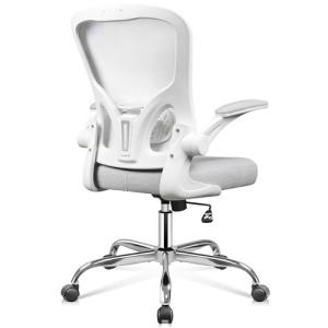 DEVAISE Office Chair Ergonomic Computer Desk Chair with Flip-up Armrests, Comfy Mesh with Adjustable Lumbar Support, White