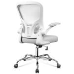 DEVAISE Office Chair Ergonomic Computer Desk Chair with Flip-up Armrests, Comfy Mesh with Adjustable Lumbar Support, White