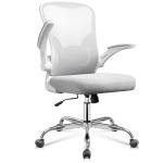 DEVAISE Office Chair Ergonomic Computer Desk Chair with Flip-up Armrests, Comfy Mesh with Adjustable Lumbar Support, White