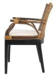 SAFAVIEH Home Collection - Gianni Brown & Black Solid Wood Rattan Arm Chair, Tropical Coastal Accent Seating for Living Room or Dining Space (SEA4011A)