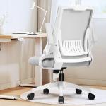 GTRACING Ergonomic Office Chair with Flip-up Armrests Executive Computer Chair for Home Office, Breathable Mesh & Comfy Lumbar Support, Wide Seat Gray