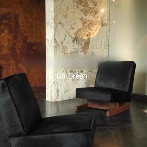 Elegance Bedroom Living Room Chairs Adults Soft Cozy Black Living Room Chairs Modern Relaxing Sillones Modernos Furniture Home