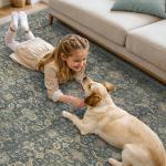 BESBLEE 8X10 Area Rugs Machine Washable Rugs for Living Room, Vintage Boho Large Rugs for Bedroom Dining Room, Non Slip Indoor Soft Distressed Lightweight Thin Low Pile Carpet, Deep