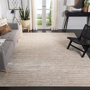 SAFAVIEH Vision Collection Area Rug - 9' x 12', Creme, Modern Ombre Tonal Chic Design, Non-Shedding & Easy Care, Ideal for High Traffic Areas in Living Room, Bedroom (VSN606F)