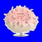 Fancy Reading Living Room Chairs Modren Single Weird Designer Living Room Chairs Relaxing White Fauteuils De Salon Furniture