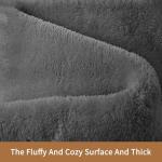 Sour Lemon 9x12 Area Rugs for Living Room, Soft Large Area Rug Fluffy Rugs for Bedroom，Machine Washable Area Rug Non Slip Carpet Rug for Living Room Playroom Kids Room Home Decor